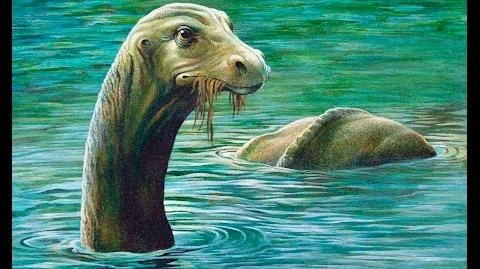 Igopogo: Criatura Aquática do Lago Simcoe
