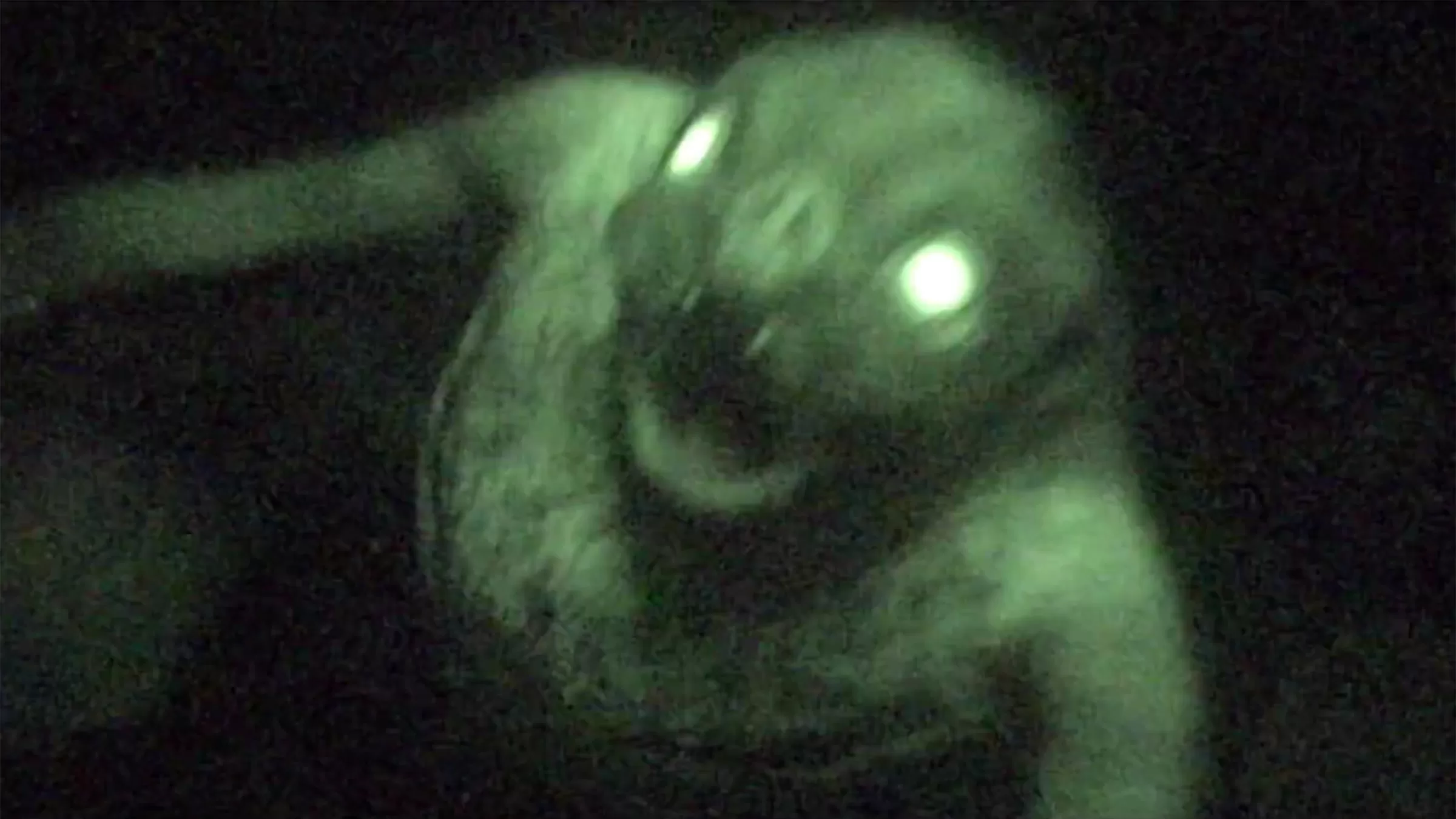 Mothman: O Enigma Alado das Sombras