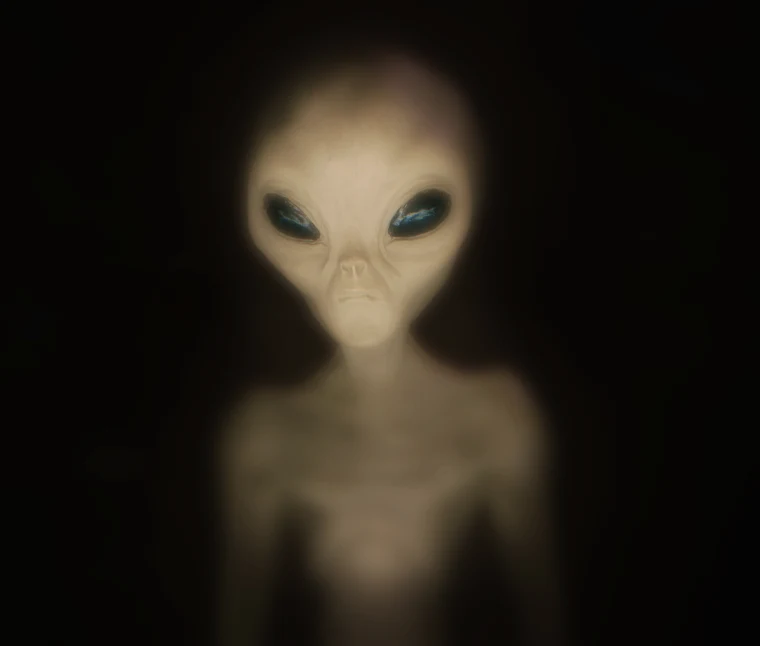 Os Greys: Mistérios da Lenda dos Seres Extraterrestres