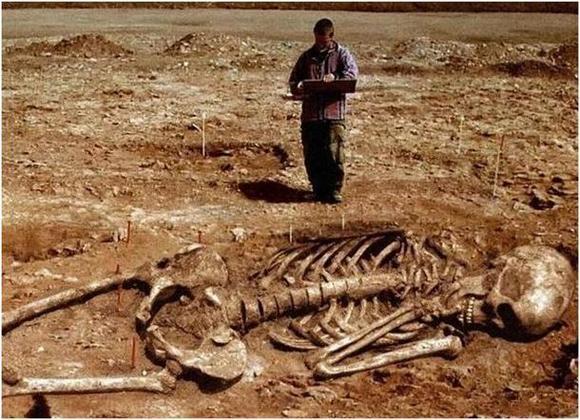 Ossadas de Gigantes: Mistério e Fascínio nas Profundezas da Terra