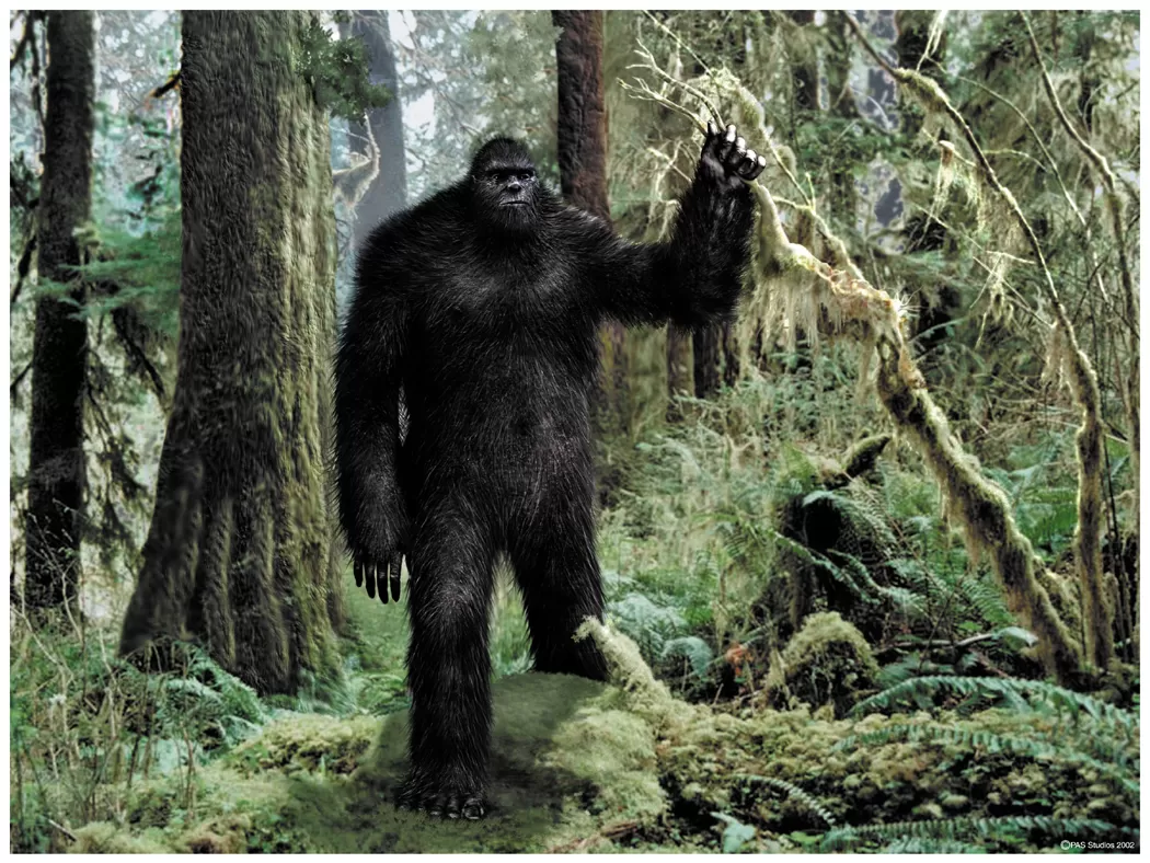 Pé Grande: O Enigma do Gigante das Florestas