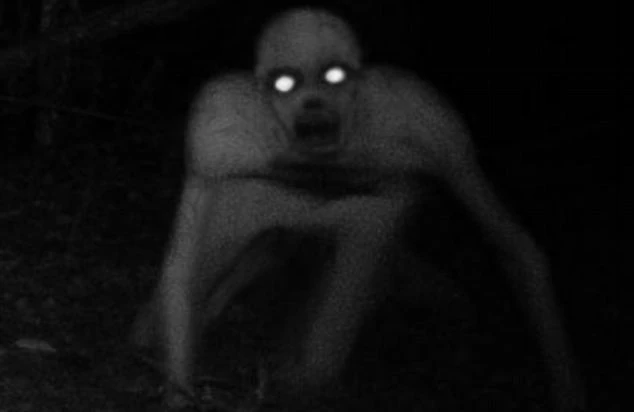 The Rake: A Criatura das Sombras