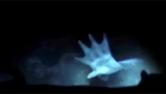 Sereias: Avistamentos Perturbadores em Mar Aberto